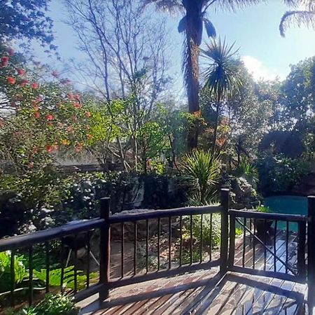 Pantera Lodge & Cheetah Cottage Johannesburg Exterior foto